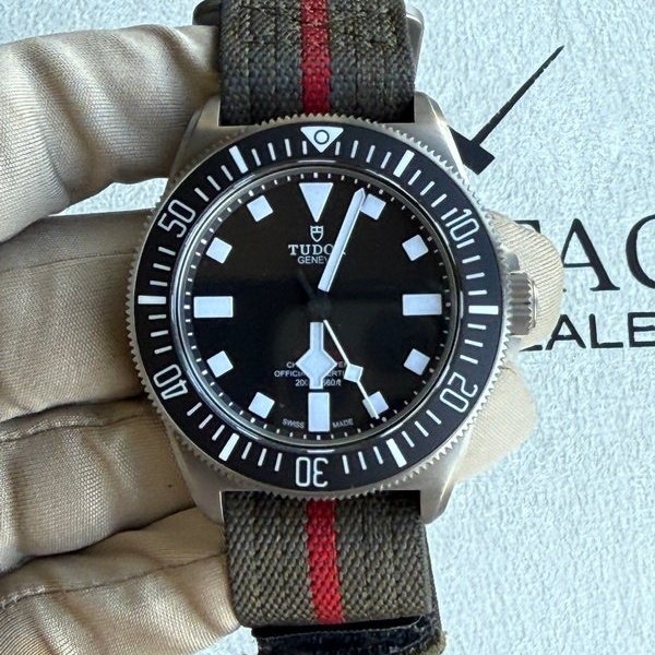 Tudor Pelagos FXD 42mm Titanium