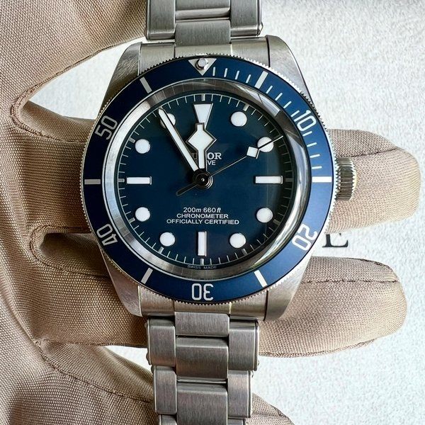 Tudor Black Bay Blue Dial 79030B